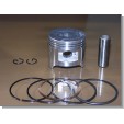 Gster cup 100 piston  taiwan